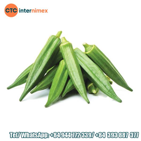 Why Choose Vietnamese Okra? The Best Okra for Your Business!